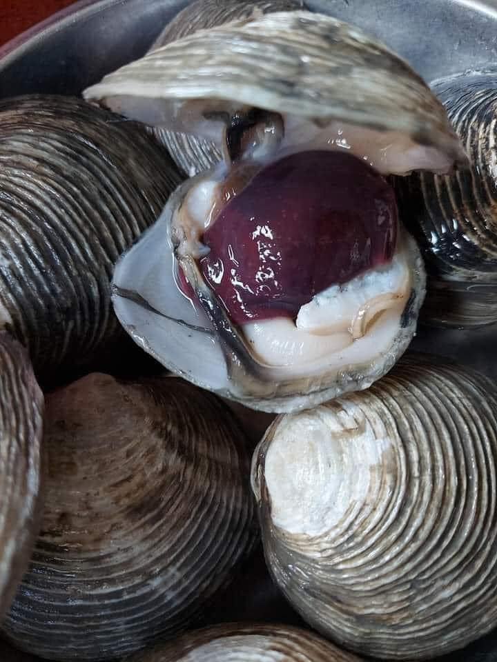 Con ngán bao nhiêu tiền 1kg