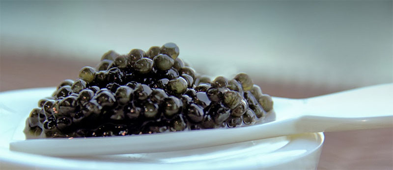 trứng cá caviar